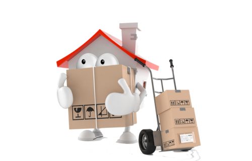 Care Removals professional movers